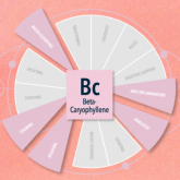  Регулятор влажности Integra Boost 62% + терпен β-Caryophyllene