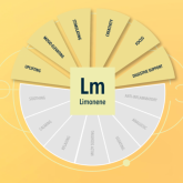 Регулятор влажности Integra Boost 62% + терпен Limonene
