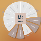 Регулятор влажности Integra Boost 62% + терпен Myrcene