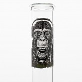 Greenline | Monkey Greenline | Monkey