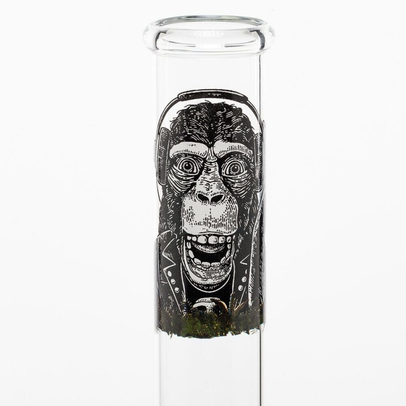 Greenline | Monkey Greenline | Monkey