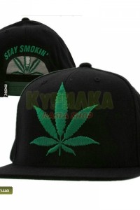 Cнепбек DGK Stay Smokin Cнепбек DGK Stay Smokin