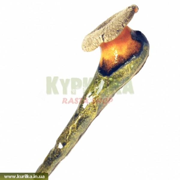 "High Ceramics" - Brain Slug