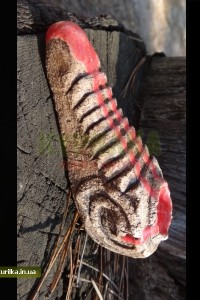 High Ceramics "Tiger Shrimp"