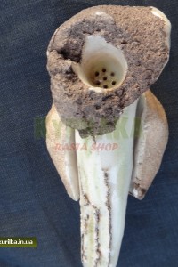 UA High Ceramics "Tusk"